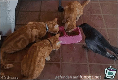 Freunde unter sich Freunde unter sich