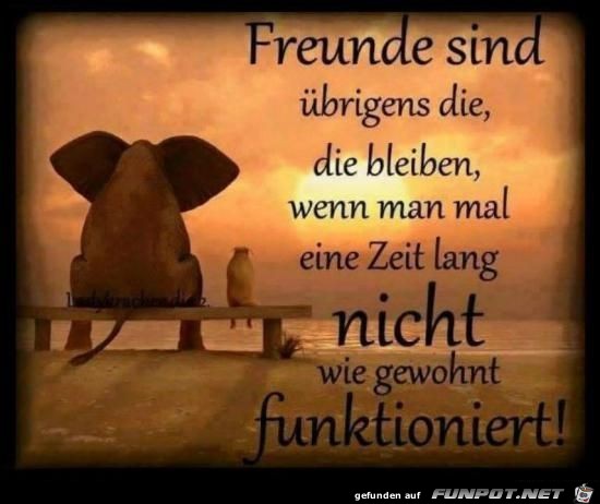 Freunde sind.......