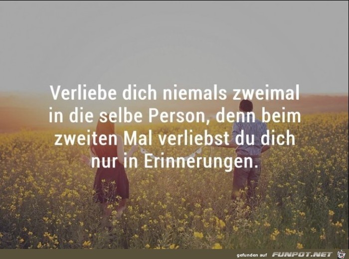 Verliebe dich niemals zweimal