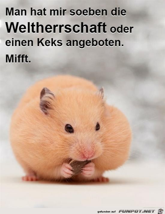 Böse Kekse Böse Kekse