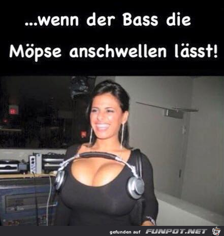 Dieser Bass