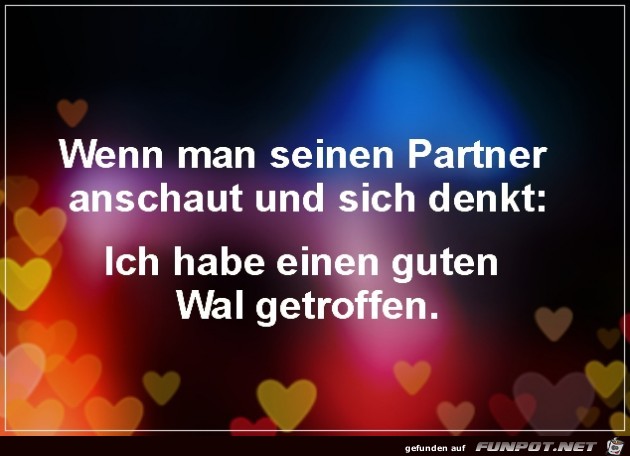 Partner Partner