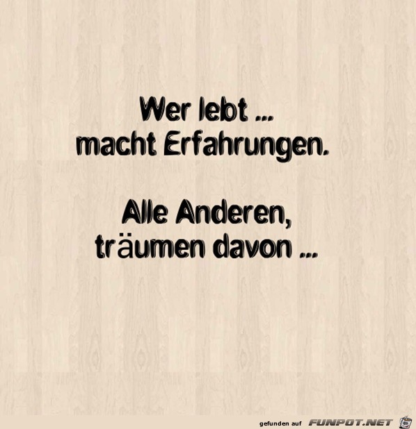 Erfahrungen Erfahrungen