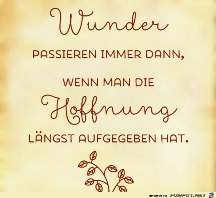 Wunder