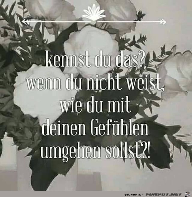 Kennst Du das