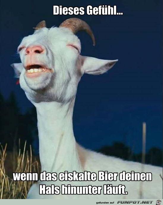 Dieses Gefuehl Dieses Gefuehl