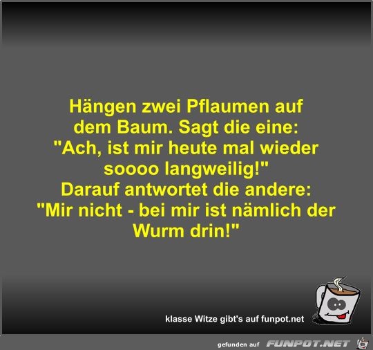 Hängen zwei Pflaumen auf dem Baum Hängen zwei Pflaumen auf dem Baum