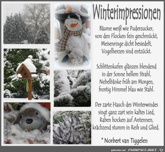 Winterimpressionen 2018