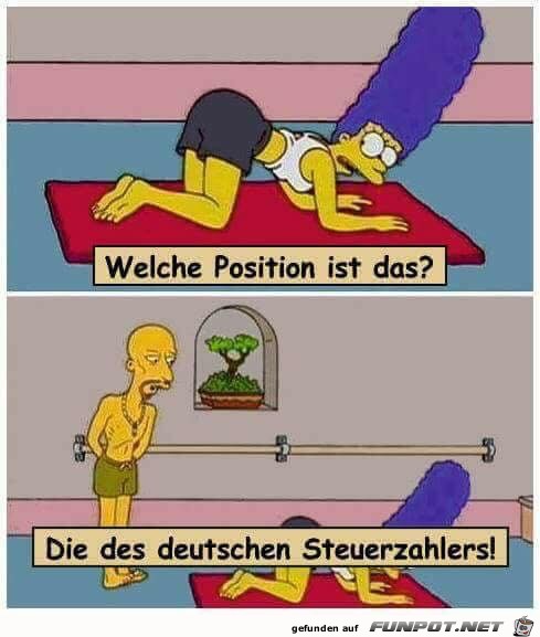 Die Position des deutschen Steuerzahlers