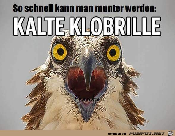 Klobrille Klobrille