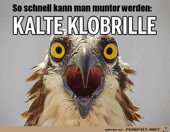 Klobrille