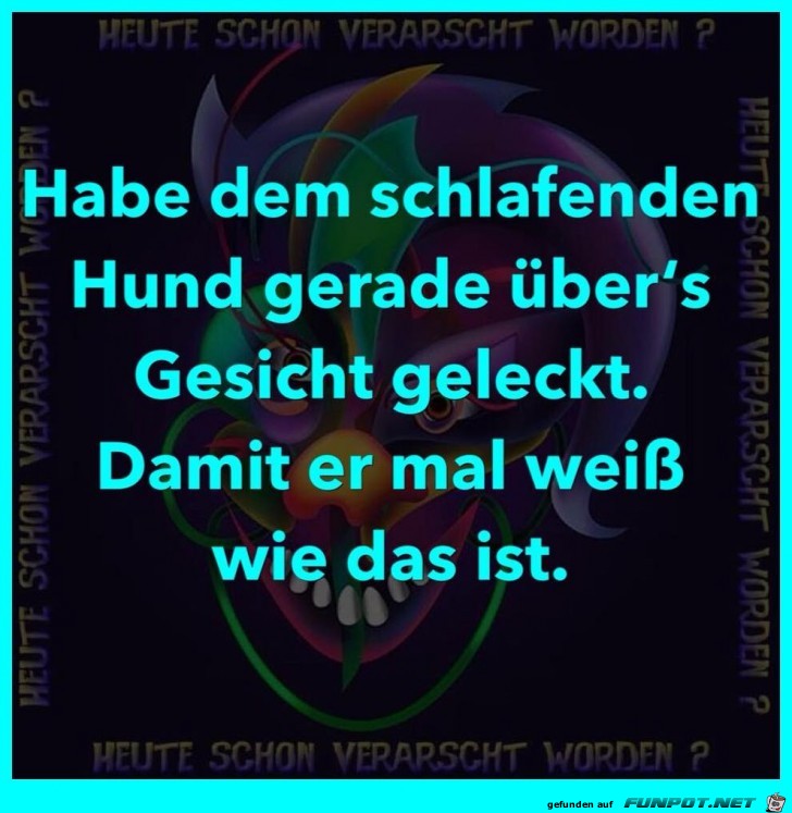 Schlafenden Hund Schlafenden Hund