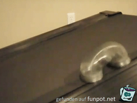 laufende Feder laufende Feder