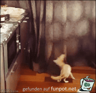 geklasut geklasut