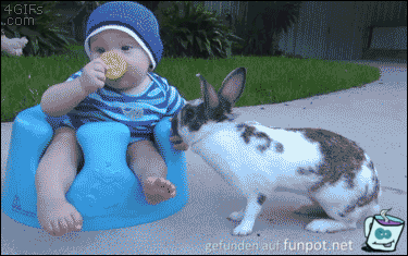Frecher Hase Frecher Hase