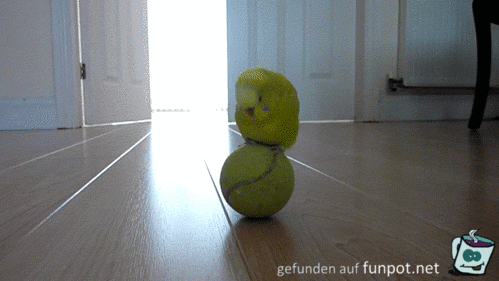 Balance und Tanz Balance und Tanz
