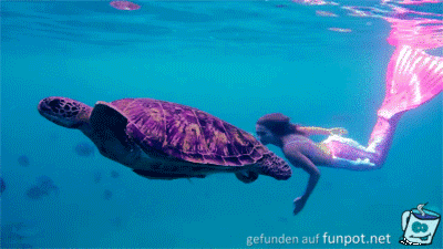 Spiel mit Turtle Spiel mit Turtle