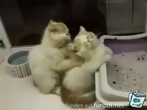 Massage Massage