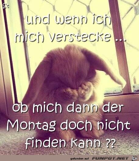 Und wenn ich mich verstecke Und wenn ich mich verstecke