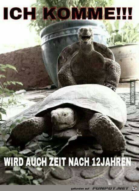 Ich Komme Ich Komme