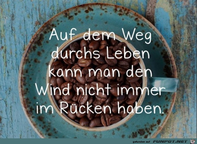 Auf dem Weg durchs Leben Auf dem Weg durchs Leben