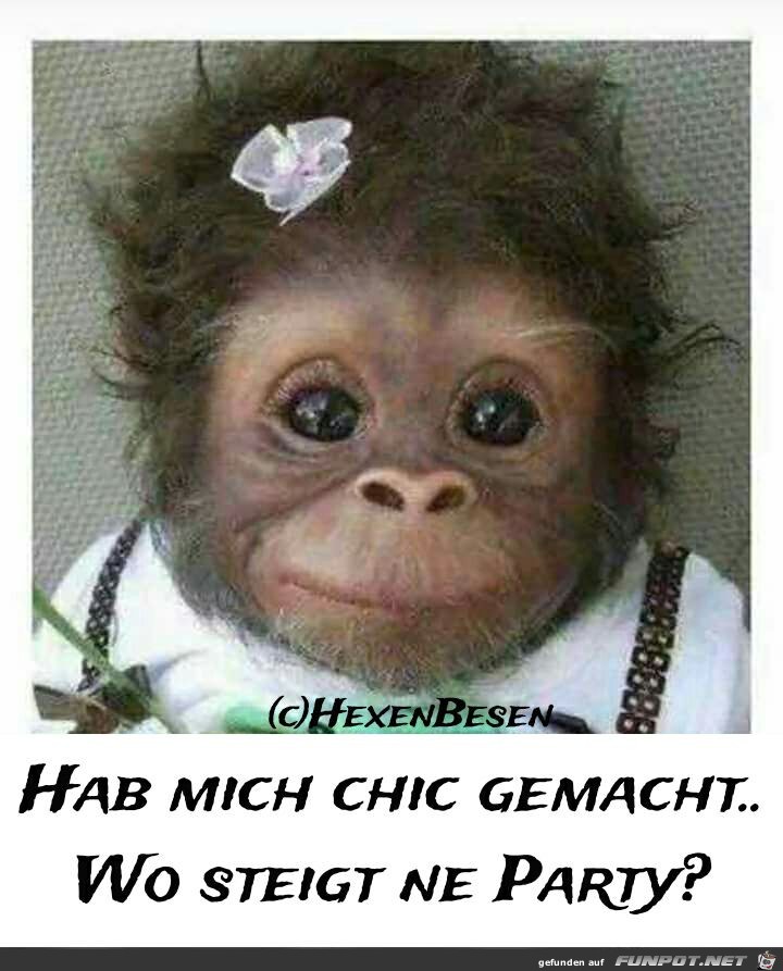 Hab mich chic gemacht Hab mich chic gemacht