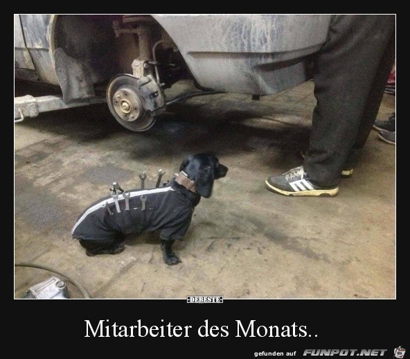 Super Mitarbeiter Super Mitarbeiter