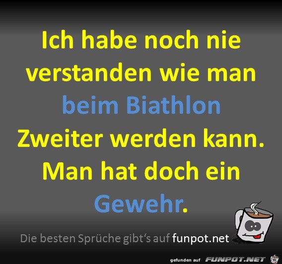 Zweiter beim Biathlon Zweiter beim Biathlon