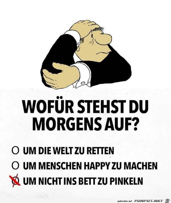 Wofür stehst du morgens auf ? Wofür stehst du morgens auf ?