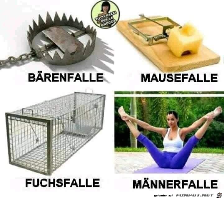 von Bärenfalle bis Männerfalle von Bärenfalle bis Männerfalle