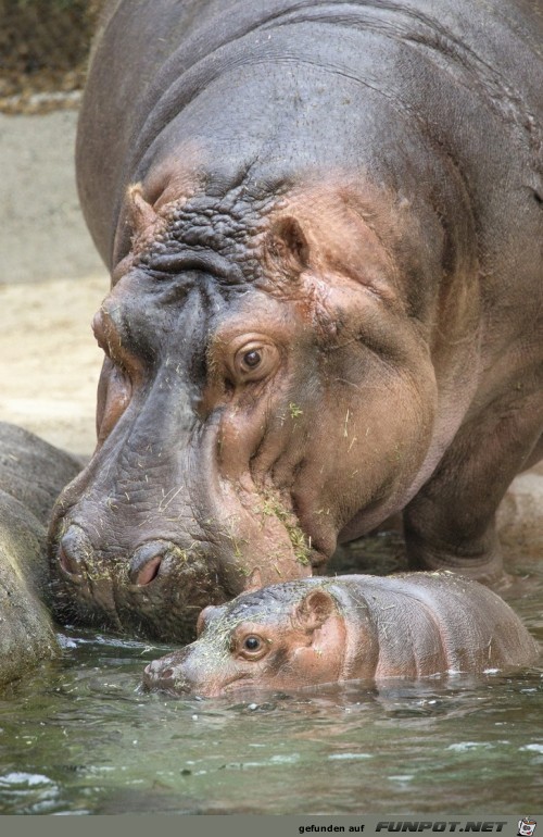 Mutti badet kl.Hypo