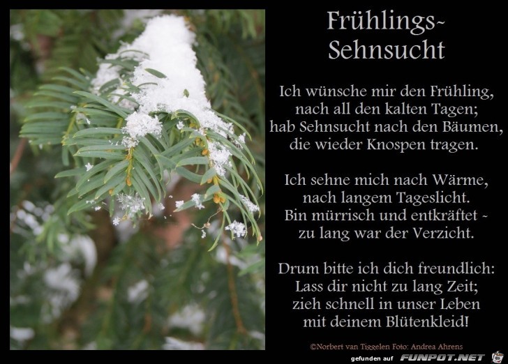 Frhlings-Sehnsucht 2018