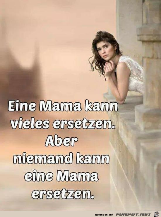 eine Mama kann veles ersetzen.......