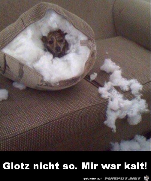 Glotz nicht so Glotz nicht so