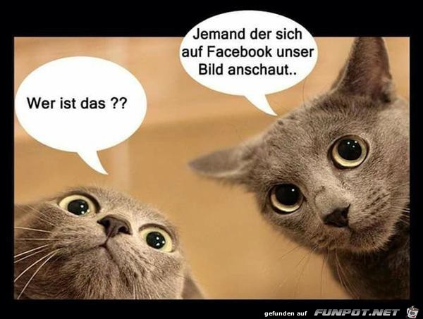 wer ist das wer ist das