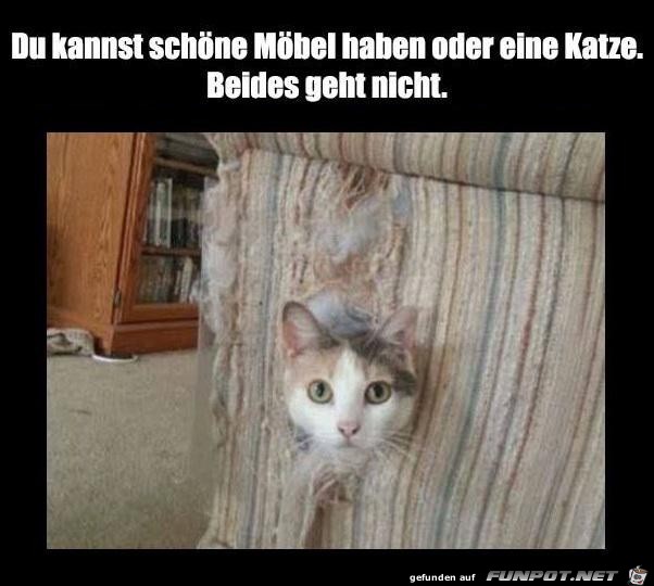 Entscheide dich Entscheide dich