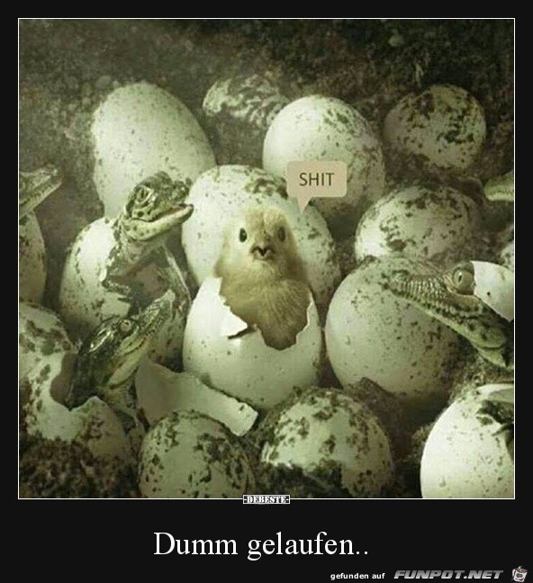 Da ist jetzt blöd Da ist jetzt blöd