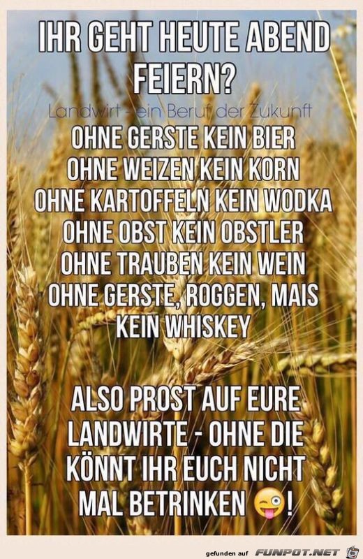 Ihr geht heute Abend feiern? Ihr geht heute Abend feiern?
