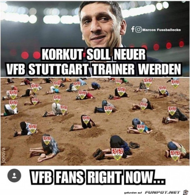 VfB-Fans