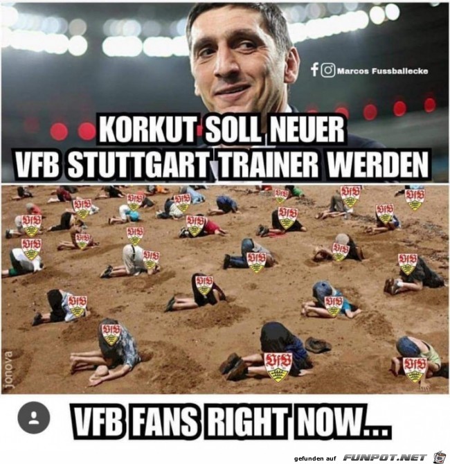 VfB-Fans VfB-Fans