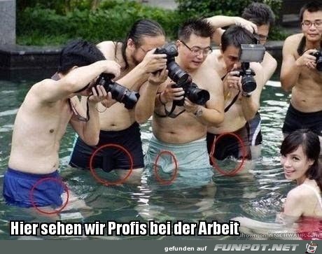 Profi's bei der Arbeit