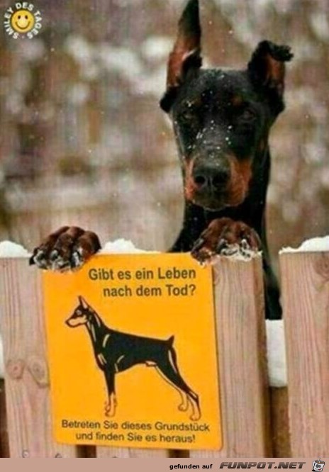 Leben nach dem Tod Leben nach dem Tod