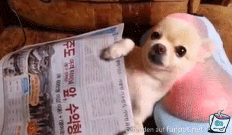 Kopfmassage Kopfmassage