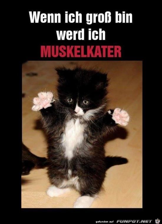 wenn ich gross bin...... wenn ich gross bin......