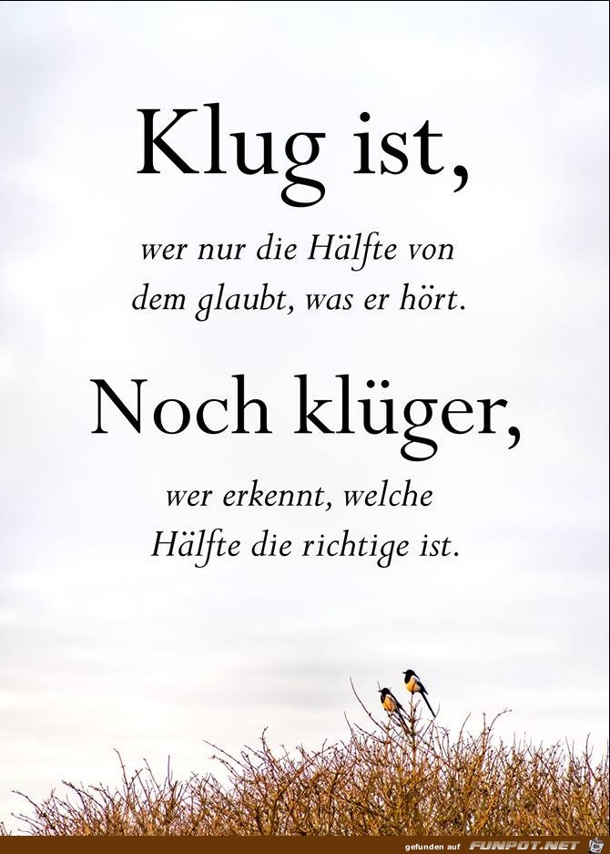 Klug ist Klug ist