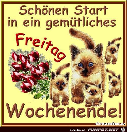 Schoenen Start Schoenen Start