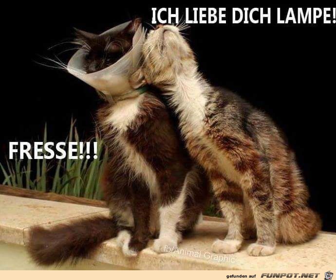 Ich liebe Dich Ich liebe Dich