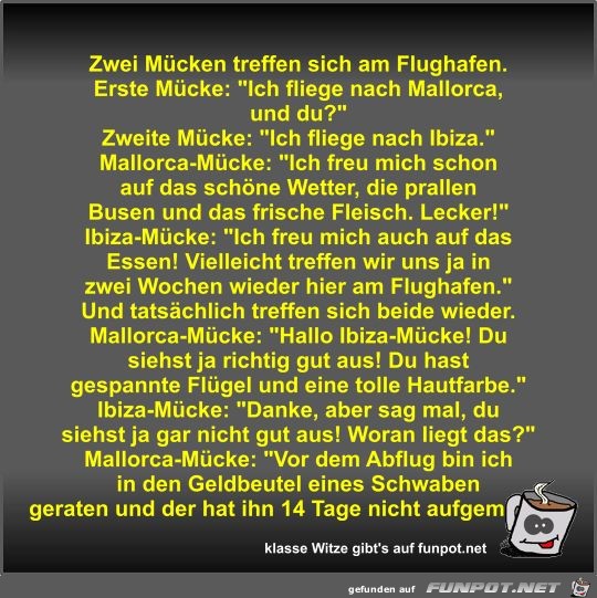 Zwei Mücken treffen sich am Flughafen Zwei Mücken treffen sich am Flughafen