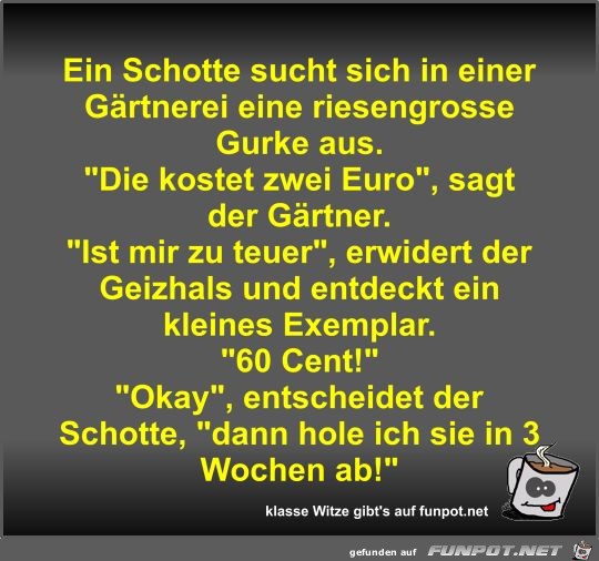 Ein Schotte sucht sich in einer Gärtnerei eine riesengrosse Ein Schotte sucht sich in einer Gärtnerei eine riesengrosse