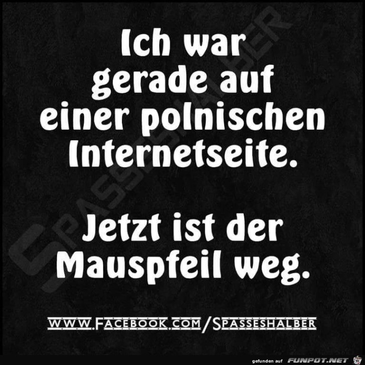 Polnische Internetseite Polnische Internetseite